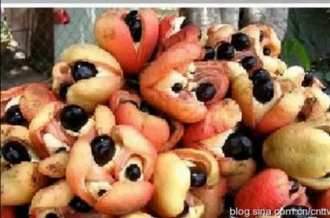 奇花異果有限公司年會（近百位奇花異果參加了本次年會）