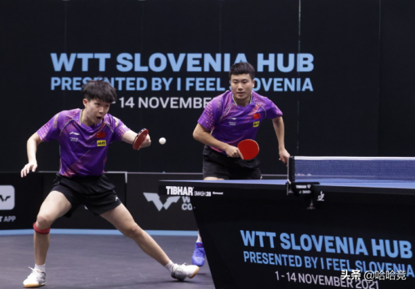 國乒雙打全面爆發！王楚欽王藝迪雙線晉級4強，林高遠/周啟豪過關