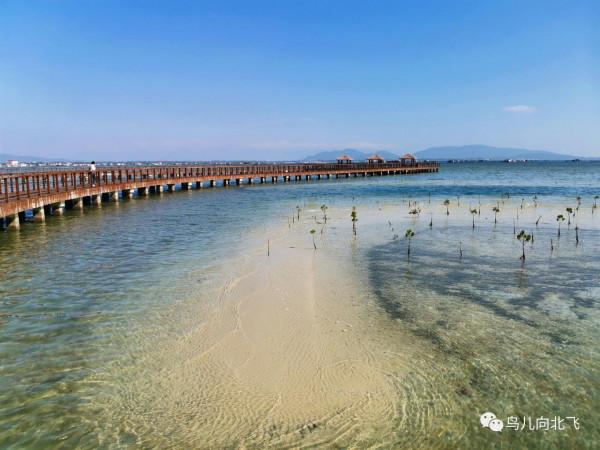 行走海南(5)在海南,看到了什麼 之 蔚藍海洋的賜予 行走海南(5)在海南,看到了什麼 之 蔚藍海洋的賜予