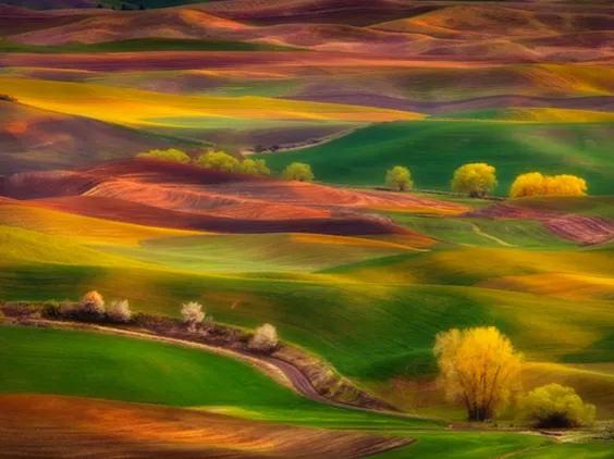 世界很大，風景很美，心存陽光，必有遠方