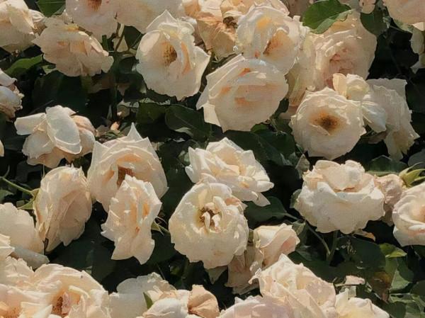 做事靈活多變,擅長突破自我的星座,有靈氣的人,往往不拘一格 做事靈活多變,擅長突破自我的星座,有靈氣的人,往往不拘一格