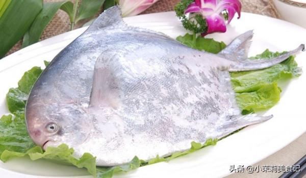 寒冬臘月，遇到這5種魚別手軟，肉嫩刺少營養高，家人常吃身體棒