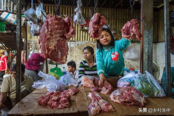 儲存生活必需品!農產品銷量或大幅提升,“豬堅強”會捲土重來? 儲存生活必需品!農產品銷量或大幅提升,“豬堅強”會捲土重來?