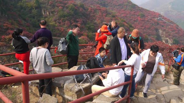 看萬山紅遍,層林盡染(2)——青州天賜山賞紅葉 看萬山紅遍,層林盡染(2)——青州天賜山賞紅葉
