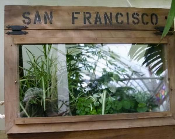 1848年，羅伯特·福鈞潛伏中國3年，盜走12838棵珍貴茶苗，為何？