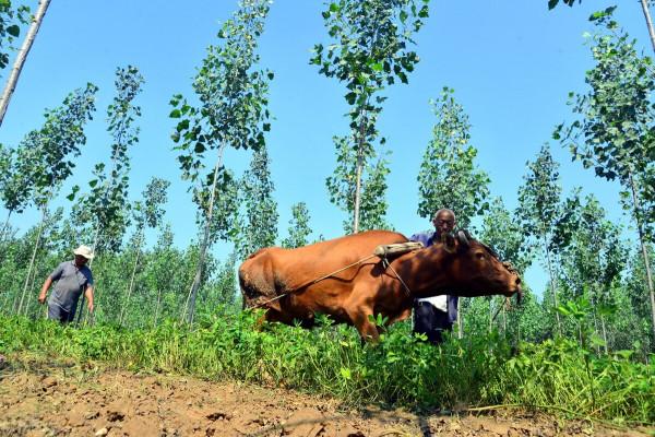 白露逢八月初一,秋分一定會遇到八月十五嗎?不一定,今年就不是 白露逢八月初一,秋分一定會遇到八月十五嗎?不一定,今年就不是