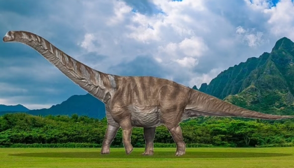 我國科研人員首創永不融化的冰雪 新恐龍化石被發現