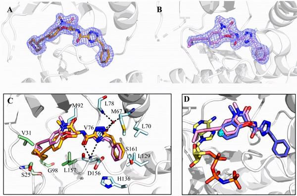 中科院最新科研進展、科技動態 2021.12.20 星期一 中科院最新科研進展、科技動態 2021.12.20 星期一