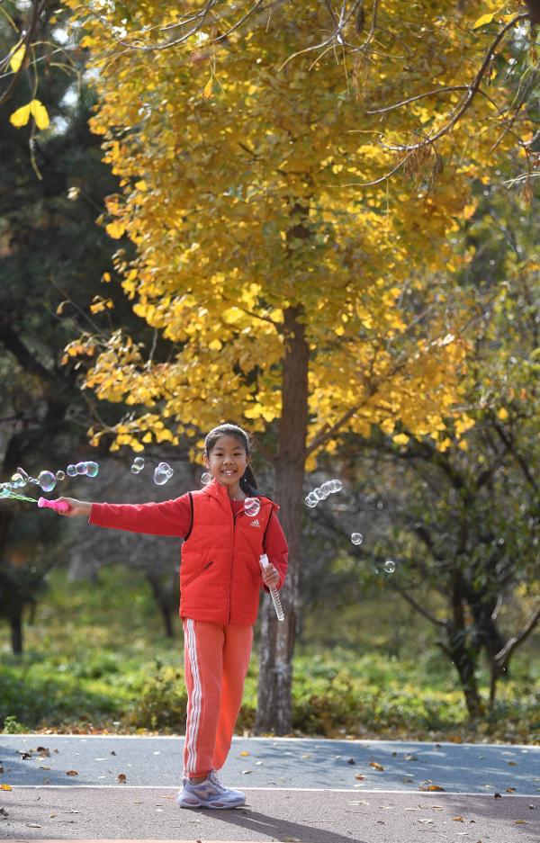 彩葉和笑容同輝！看娃娃們如何抓住“秋天的尾巴”