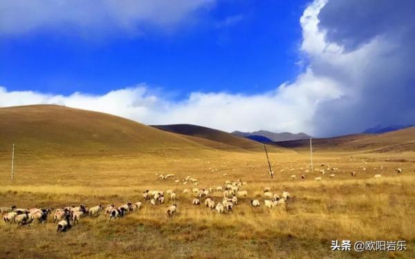 風景在路上！國內最經典的8條親子自駕遊線路，總有一條適合你