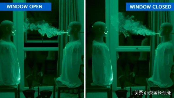 輝瑞公佈口服新冠藥：有效率89%！科學家發現新冠高風險基因訊號