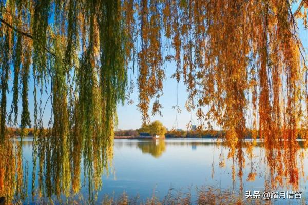 如果沒有疫情，此刻我勸你一定要去一趟北京...