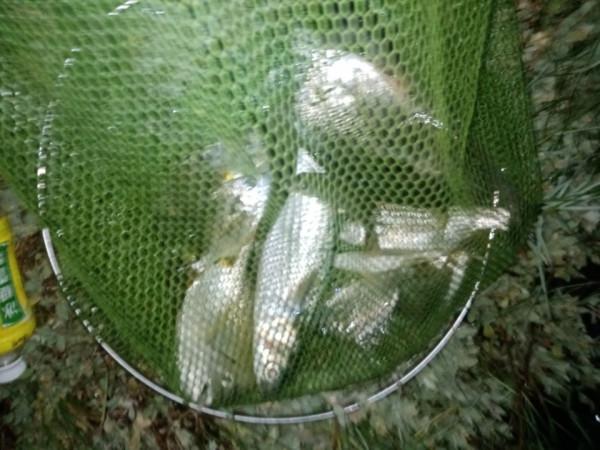 驅趕世間煩惱，釣起水中歡樂