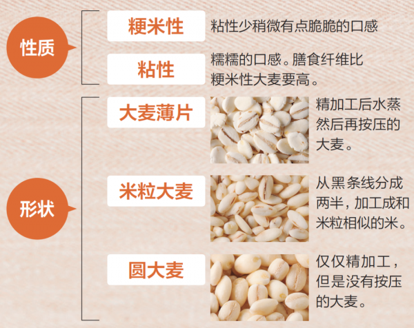大麥的營養價值：抑制餐後高血糖、減少內臟脂肪