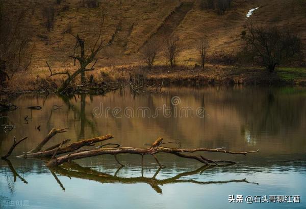 你在海邊吃過燒烤,那你吃過火鍋嗎? 你在海邊吃過燒烤,那你吃過火鍋嗎?
