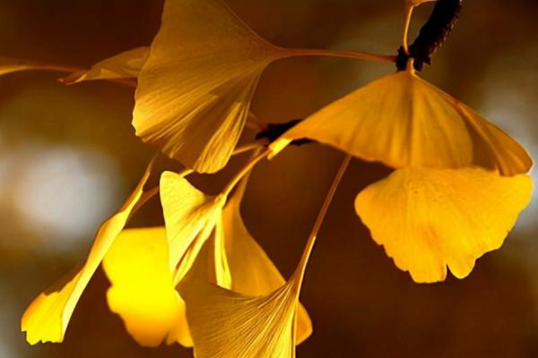 人到中年以後,不管你有錢沒錢,都別讓兩種親戚住在家裡 人到中年以後,不管你有錢沒錢,都別讓兩種親戚住在家裡