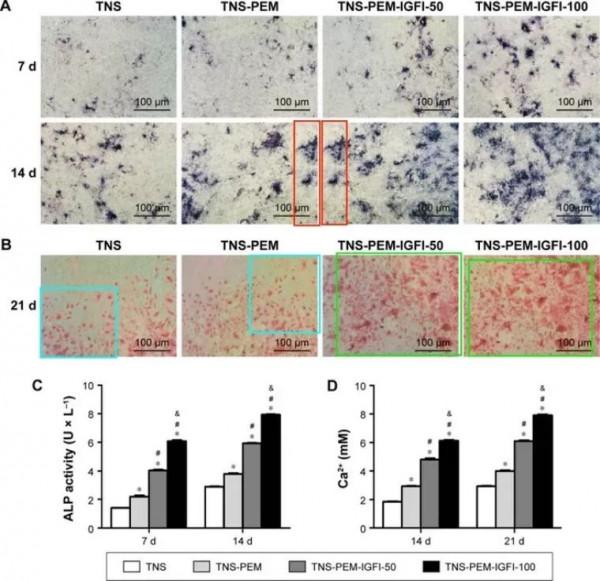 三家跨省三甲醫院聯合發表的高分論文因圖片重複問題被撤回 三家跨省三甲醫院聯合發表的高分論文因圖片重複問題被撤回