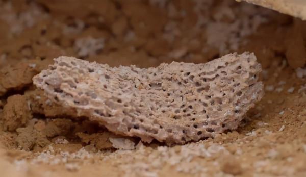 2016年江蘇挖出墓葬群，出土兩千年的鴨蛋，祖先的創造讓日韓學走