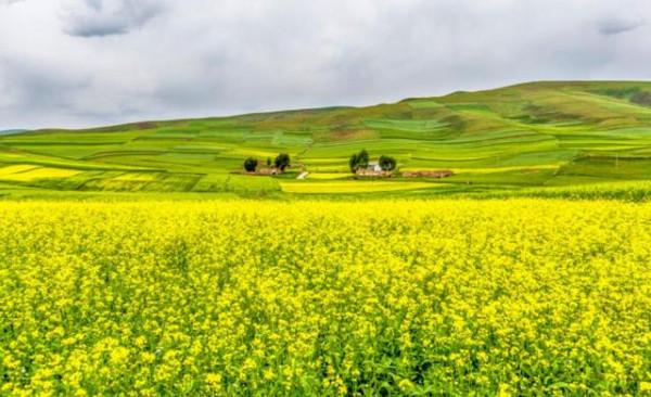 青海目前有4個5A級景區,誰會是第5個呢?感覺這3個地方有希望 青海目前有4個5A級景區,誰會是第5個呢?感覺這3個地方有希望
