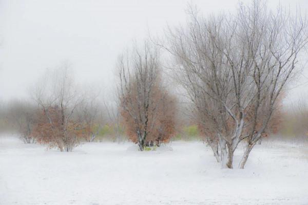 讓人直呼“哇噻”,房山這兩地的雪景大片,你一定得看看 讓人直呼“哇噻”,房山這兩地的雪景大片,你一定得看看