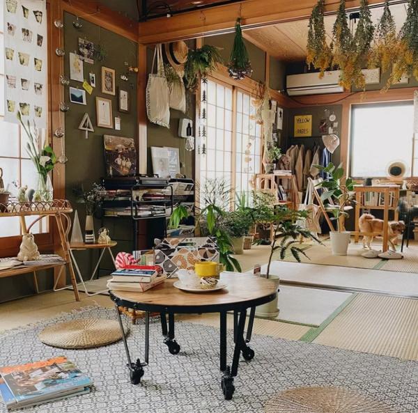 一人一狗蝸居19㎡小屋,引來3萬人圍觀!高收入小姐姐的歲月靜好 一人一狗蝸居19㎡小屋,引來3萬人圍觀!高收入小姐姐的歲月靜好