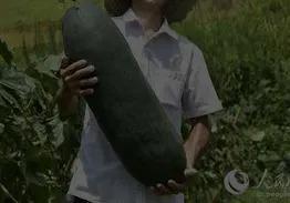 生孩子是每個家庭的大喜事，關於生孩子有哪些習俗呢？作一筒介