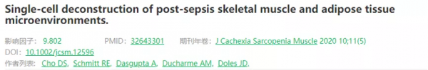 玩轉單細胞測序｜肌肉組織研究思路大揭秘