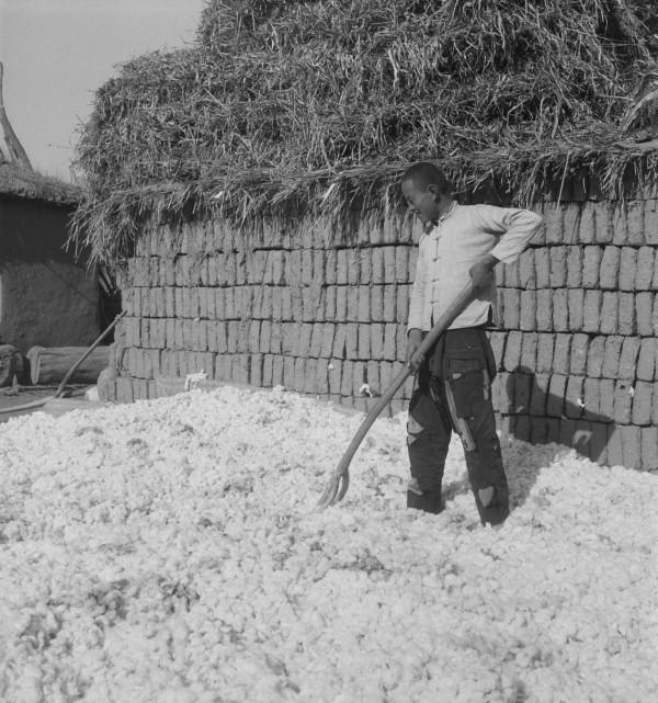 一組老照片,這些照片裡的人如今都去哪裡了 一組老照片,這些照片裡的人如今都去哪裡了