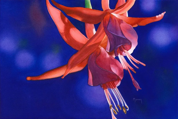 55歲拿起畫筆,成為最懂花的女人!筆下絢爛唯美的水彩花卉太美了 55歲拿起畫筆,成為最懂花的女人!筆下絢爛唯美的水彩花卉太美了