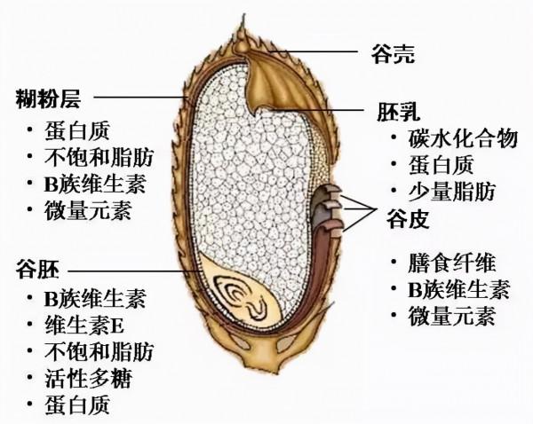 如何正確的理解“戒糖” 如何正確的理解“戒糖”