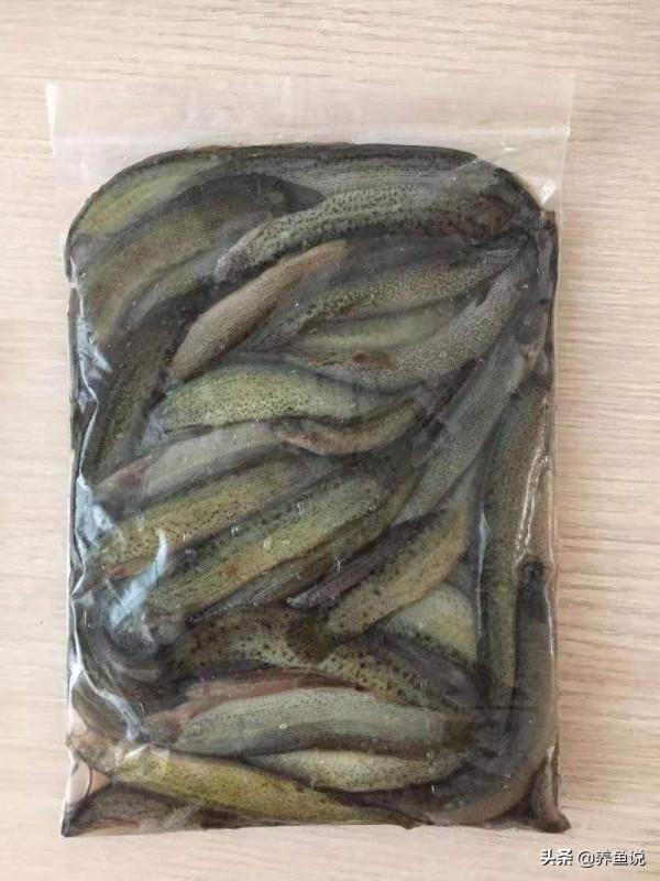 喂觀賞魚吃的東西需要冰凍或者加熱嗎？如何處理魚食更健康呢？