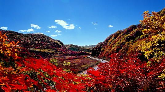 深秋去哪玩,這些地方賞秋新去處 深秋去哪玩,這些地方賞秋新去處