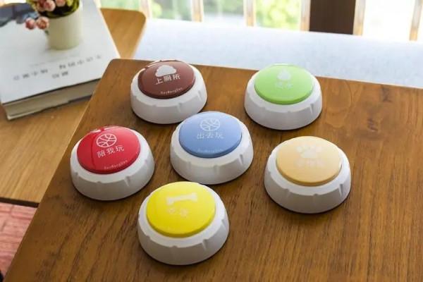 不敢信！我居然教會了自家柴犬“說”人話