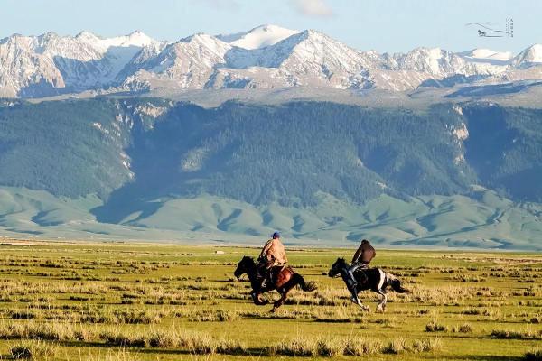 美麗的草原，我來了