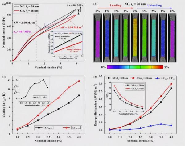 清華大學：透過梯度結構提高NiTi合金的力學效能和彈性熱效應