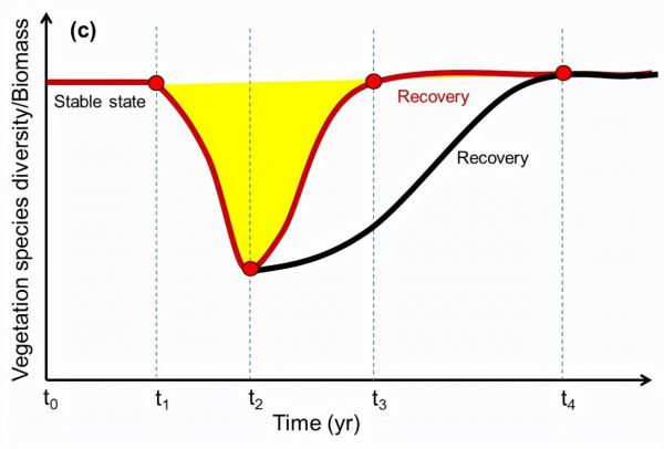 生命科學學院系列研究揭示了土壤種子庫在多穩態理論中的作用及氣候變化的影響