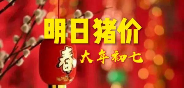 「明日豬價」 2月7日豬價：跌！全國豬價一片綠