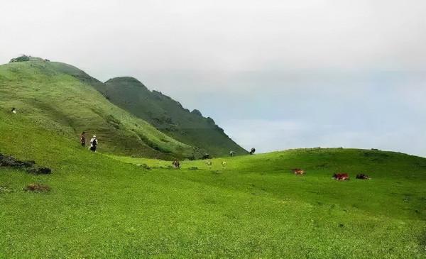 廣東出遊好去處,無限好風光,看完每一個都想去 廣東出遊好去處,無限好風光,看完每一個都想去