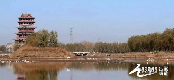 又到候鳥遷徙時 又到候鳥遷徙時