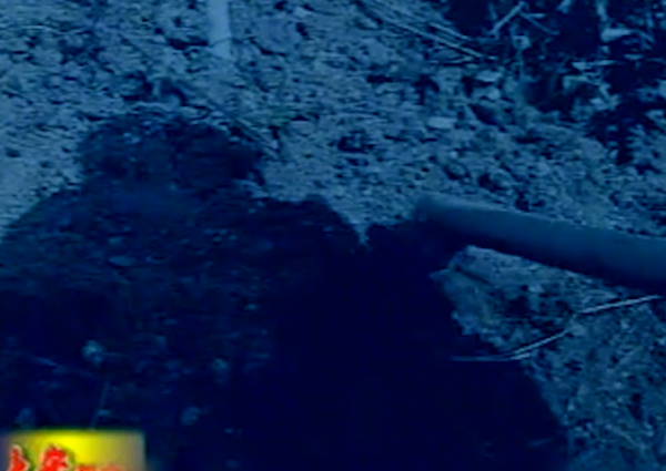 1992年，為傳宗接代夫妻倆找村裡人“幫忙”，6年後丈夫離奇身亡