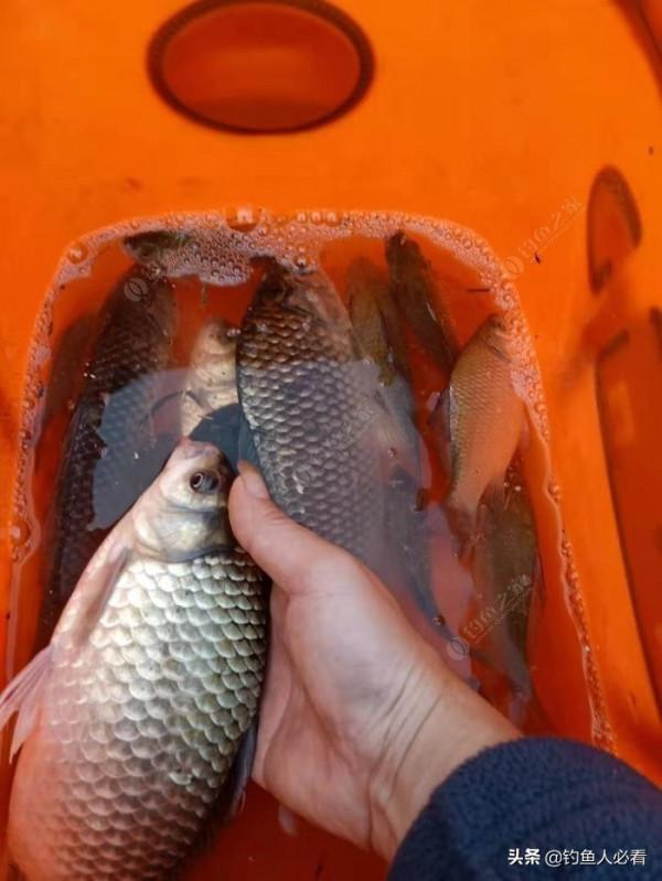 中秋佳節,如何作釣不空軍 中秋佳節,如何作釣不空軍