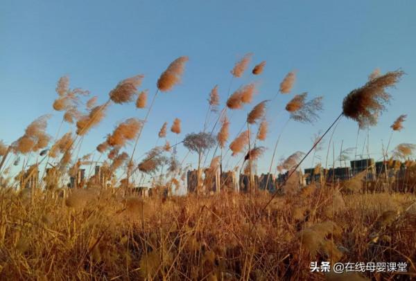 男人頂級的修養:窮不怪父,苦不怨妻,氣不兇孩 男人頂級的修養:窮不怪父,苦不怨妻,氣不兇孩