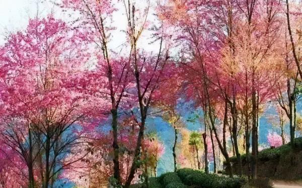 美極了!冬天的這10個地方美景依舊,四季的景色你都能找到 美極了!冬天的這10個地方美景依舊,四季的景色你都能找到