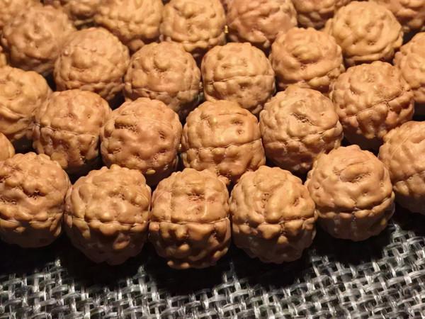 金剛菩提，老手和新手的區別到底在哪？