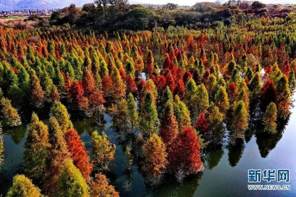 這也太太太美了吧！你覺得適合約誰去？