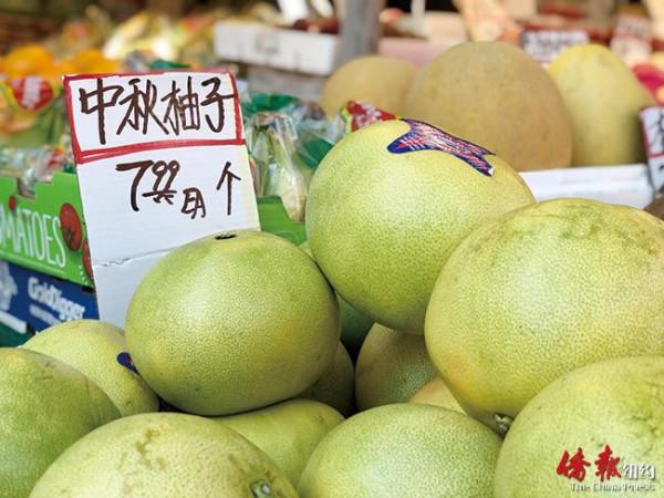 中秋將至 華埠八大道街頭節日氣氛濃 中秋將至 華埠八大道街頭節日氣氛濃