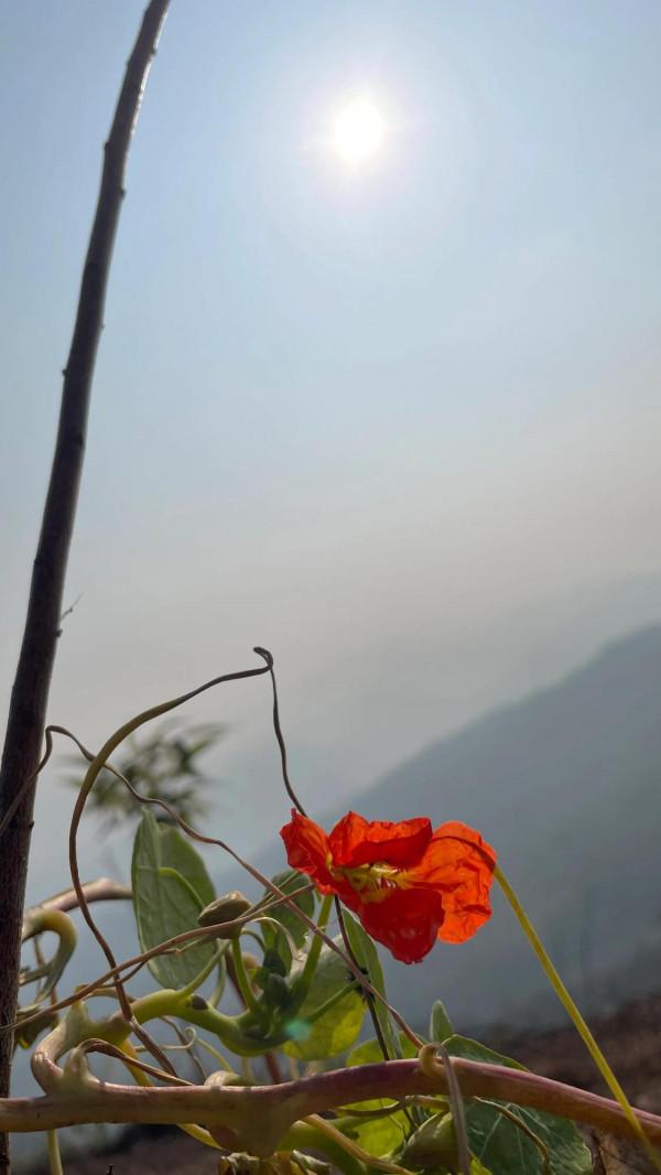 徒步大邑藥師巖