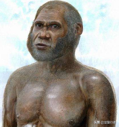 人類褪毛簡史 人類褪毛簡史