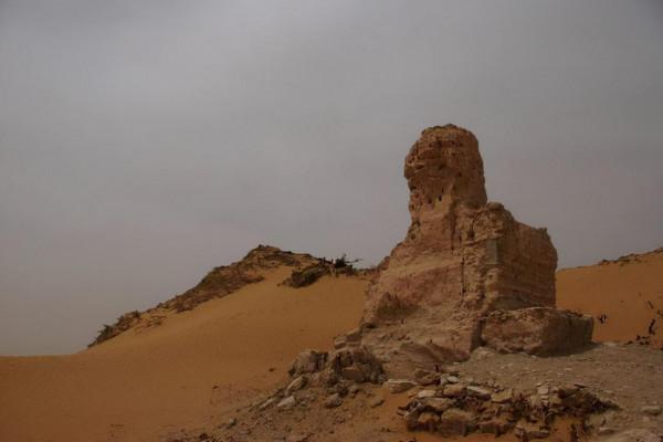 你想要來的新疆2022年是這樣的