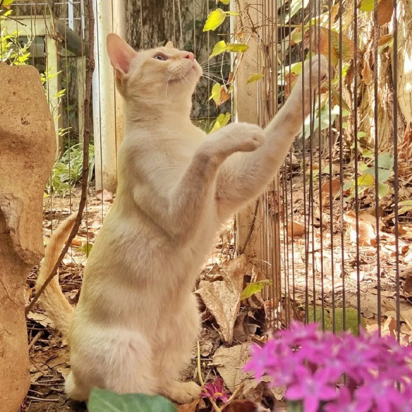 古有“竹林七賢”今有“觀復七閒” 古有“竹林七賢”今有“觀復七閒”